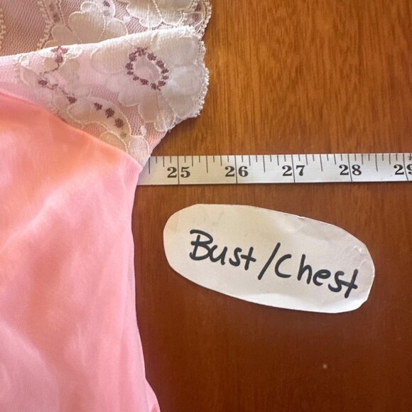 Vintage Pink Sheer Nightgown With Lace Sleeves & Embroidery Details - Picture 3 of 11